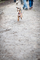 valentinesdogs (12 of 32)