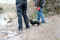 valentinesdogs (7 of 32)