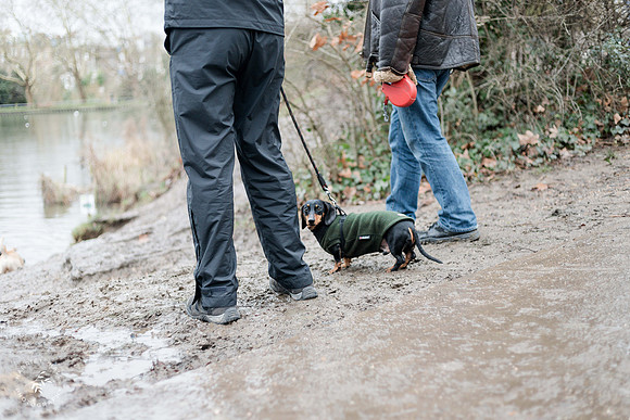 valentinesdogs (7 of 32)
