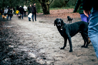 valentinesdogs (19 of 32)