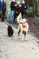 valentinesdogs (13 of 32)
