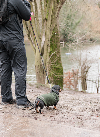valentinesdogs (6 of 32)