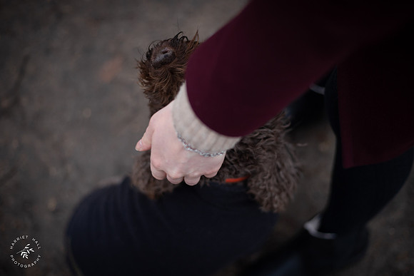 valentinesdogs (21 of 32)