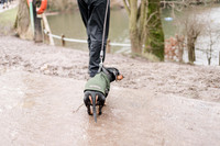 valentinesdogs (5 of 32)