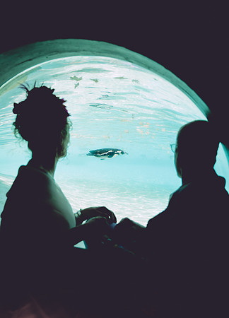 Andrea and Robert-346